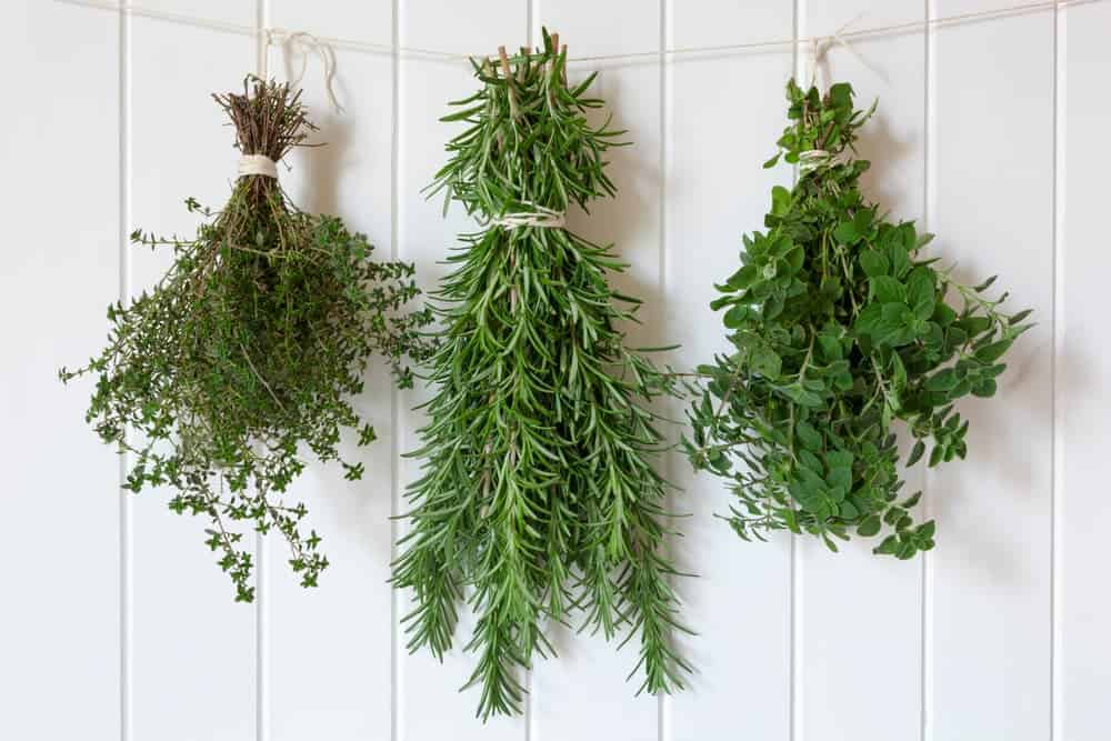 Orenda Home Garden_How to Store Fresh Herbs