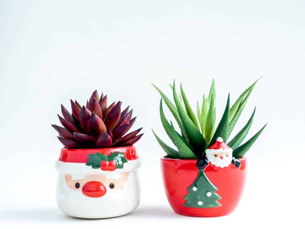 Orenda Home Garden_Garden Gift Ideas for the Holiday Season